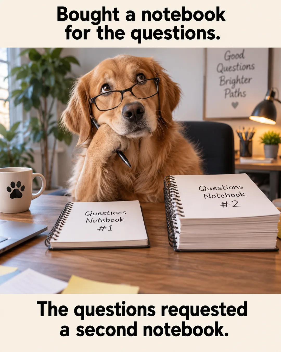 Illustrative the organized notebook meme